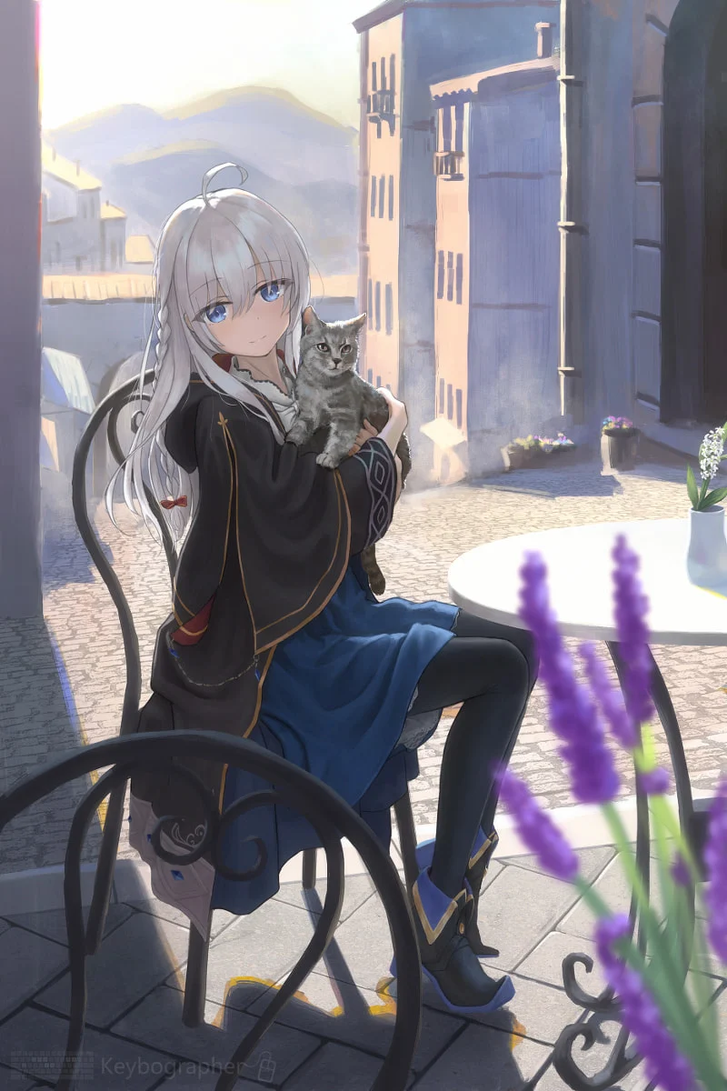 生物演化视角下的家具设计与工程